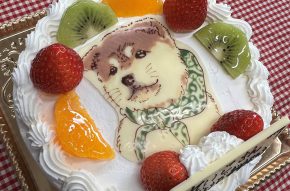 イラストケーキ5号~10号(要予約3日前まで)